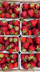 Preview wallpaper strawberry, berries, ripe, harvest