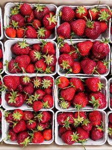 Preview wallpaper strawberry, berries, ripe, harvest