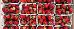 Preview wallpaper strawberry, berries, ripe, harvest