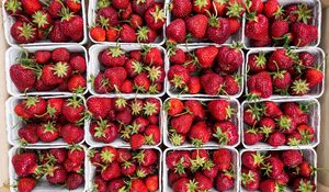 Preview wallpaper strawberry, berries, ripe, harvest