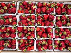 Preview wallpaper strawberry, berries, ripe, harvest