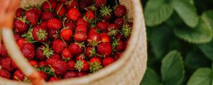 Preview wallpaper strawberry, berry, basket, hand, harvest