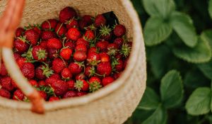 Preview wallpaper strawberry, berry, basket, hand, harvest