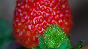 Preview wallpaper strawberry, berry, blur, macro