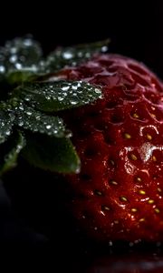 Preview wallpaper strawberry, berry, drops, macro