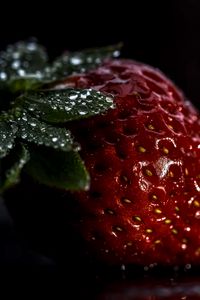 Preview wallpaper strawberry, berry, drops, macro