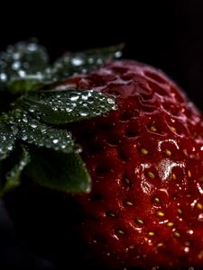 Preview wallpaper strawberry, berry, drops, macro