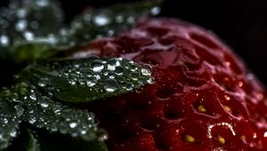 Preview wallpaper strawberry, berry, drops, macro