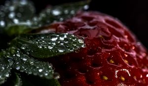 Preview wallpaper strawberry, berry, drops, macro