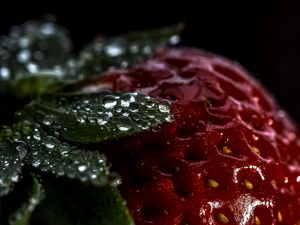 Preview wallpaper strawberry, berry, drops, macro