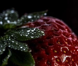 Preview wallpaper strawberry, berry, drops, macro