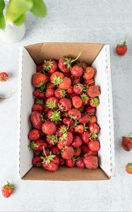 Preview wallpaper strawberry, berry, fruit, box