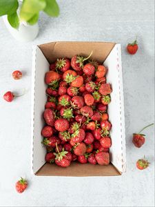 Preview wallpaper strawberry, berry, fruit, box