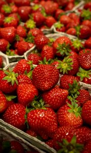 Preview wallpaper strawberry, berry, fruit, red, basket