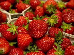 Preview wallpaper strawberry, berry, fruit, red, basket