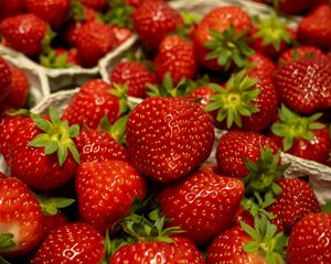 Preview wallpaper strawberry, berry, fruit, red, basket