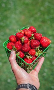 Preview wallpaper strawberry, berry, hand, box