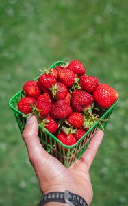Preview wallpaper strawberry, berry, hand, box