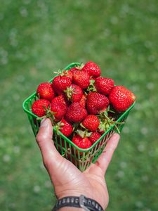 Preview wallpaper strawberry, berry, hand, box