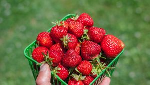 Preview wallpaper strawberry, berry, hand, box