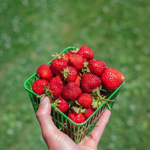 Preview wallpaper strawberry, berry, hand, box