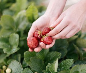 Preview wallpaper strawberry, berry, hands, blur