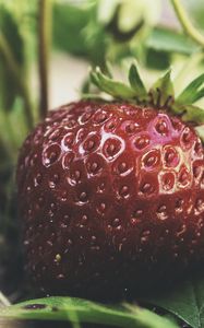 Preview wallpaper strawberry, berry, macro, red