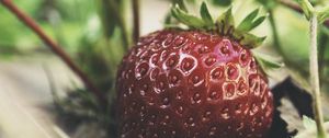 Preview wallpaper strawberry, berry, macro, red