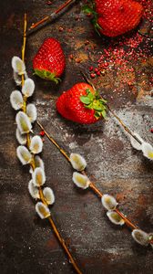 Preview wallpaper strawberry, berry, osier, branch, surface