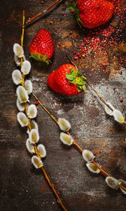 Preview wallpaper strawberry, berry, osier, branch, surface