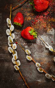 Preview wallpaper strawberry, berry, osier, branch, surface