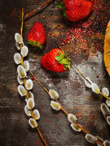 Preview wallpaper strawberry, berry, osier, branch, surface