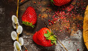 Preview wallpaper strawberry, berry, osier, branch, surface