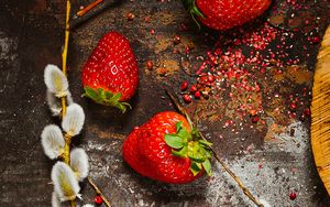 Preview wallpaper strawberry, berry, osier, branch, surface