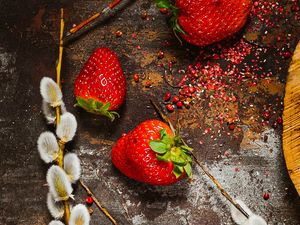 Preview wallpaper strawberry, berry, osier, branch, surface