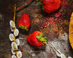 Preview wallpaper strawberry, berry, osier, branch, surface