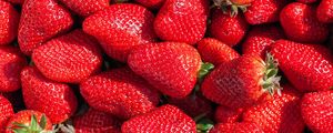 Preview wallpaper strawberry, berry, red, fruit