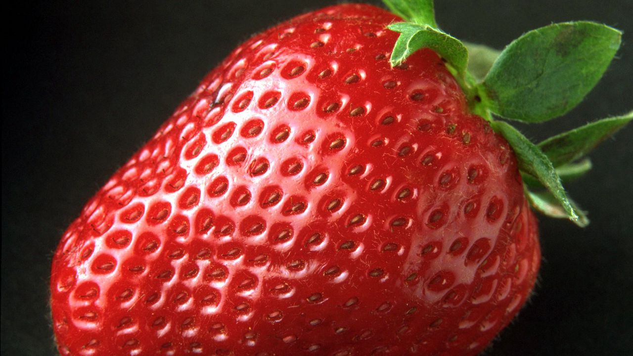 Wallpaper strawberry, berry, ripe, tasty