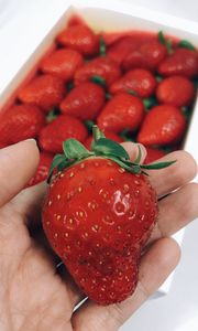 Preview wallpaper strawberry, berry, ripe, hand, red