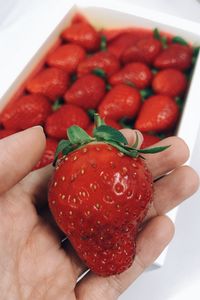 Preview wallpaper strawberry, berry, ripe, hand, red