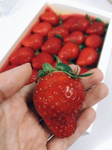 Preview wallpaper strawberry, berry, ripe, hand, red