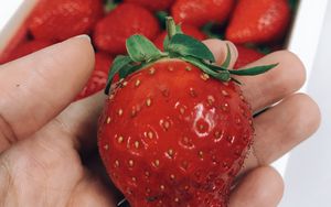 Preview wallpaper strawberry, berry, ripe, hand, red