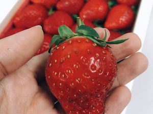 Preview wallpaper strawberry, berry, ripe, hand, red