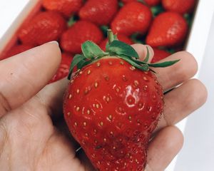 Preview wallpaper strawberry, berry, ripe, hand, red