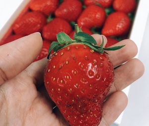 Preview wallpaper strawberry, berry, ripe, hand, red