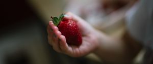 Preview wallpaper strawberry, berry, ripe, hand