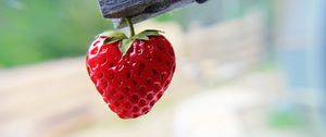 Preview wallpaper strawberry, berry, ripe