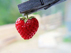 Preview wallpaper strawberry, berry, ripe