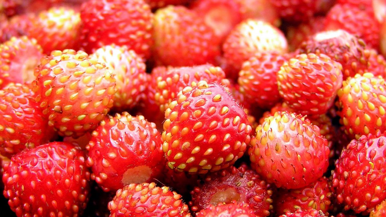 Wallpaper strawberry, berry, ripe