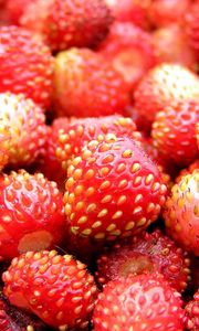 Preview wallpaper strawberry, berry, ripe